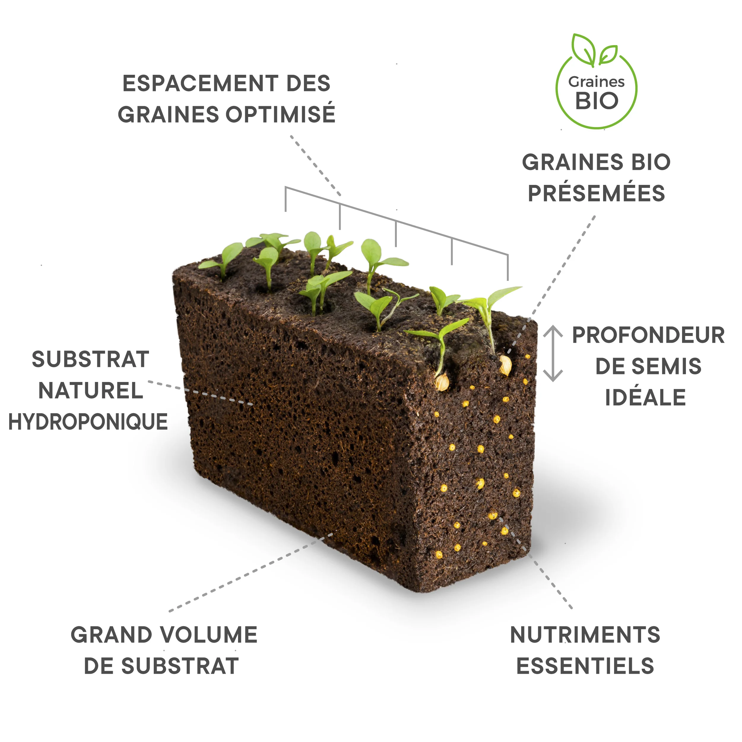 Le Lingot est une recharge de plante prête-à-l'emploi intégrant substrat, graines et nutriments